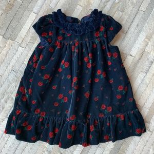 Velvet Dress by Janie and Jack
